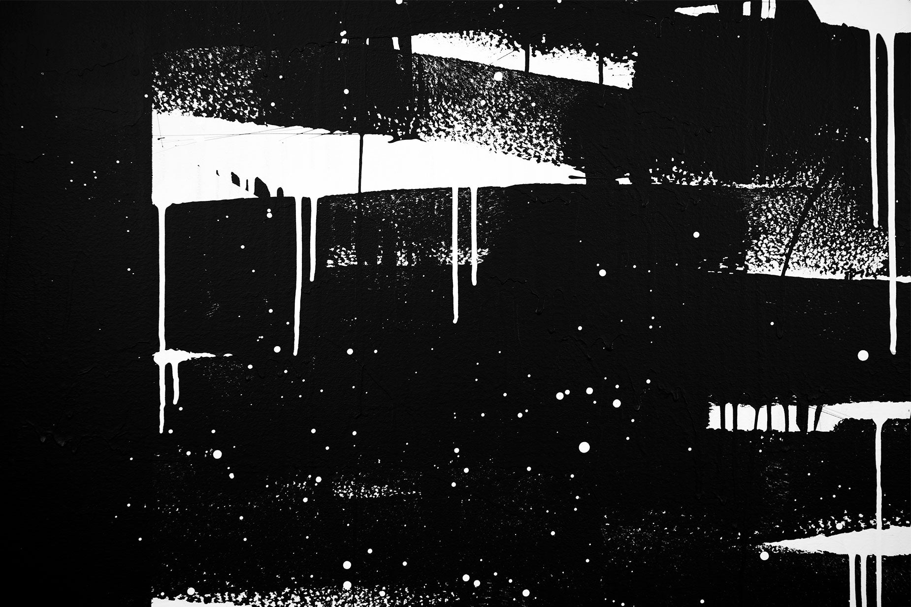 VIEWS (IN) - 40x60 - Bisco Smith