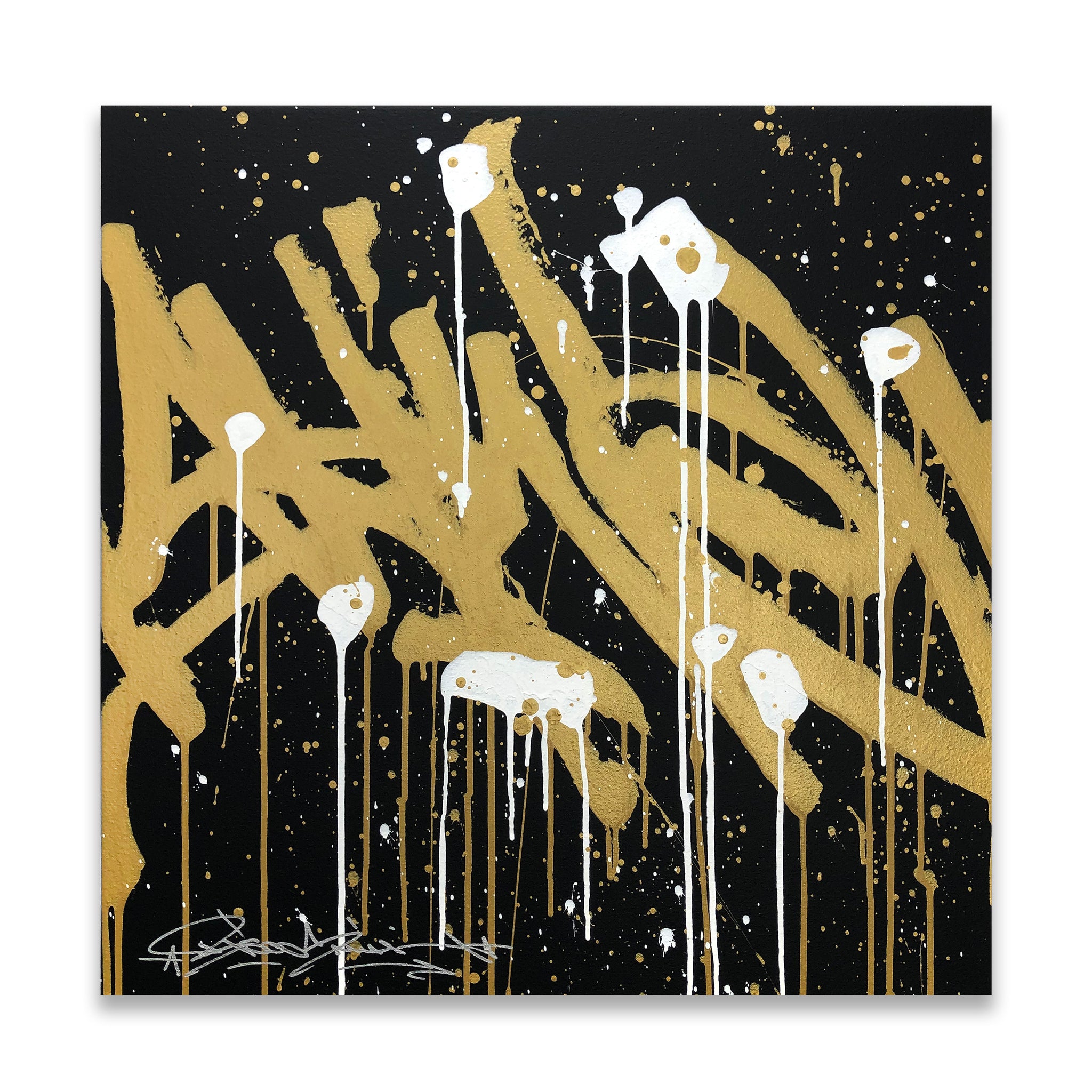 SHINE - 24 X 24