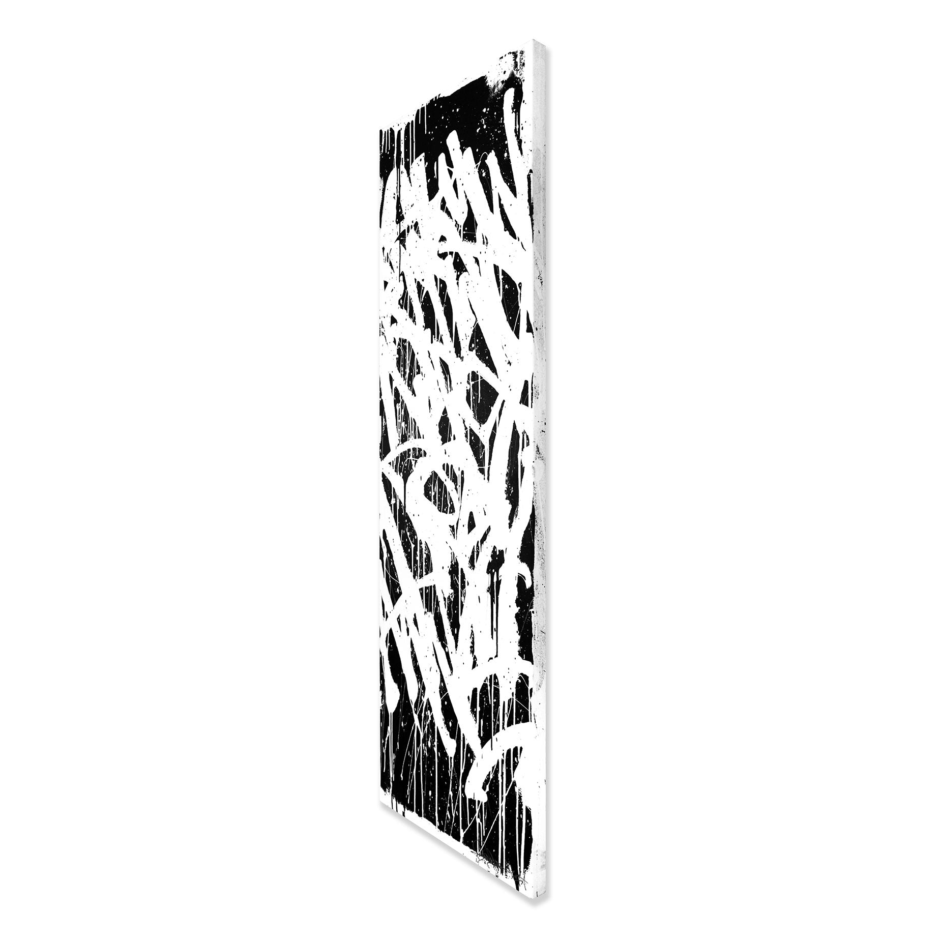 SKYWRITER - 20x60 - Bisco Smith